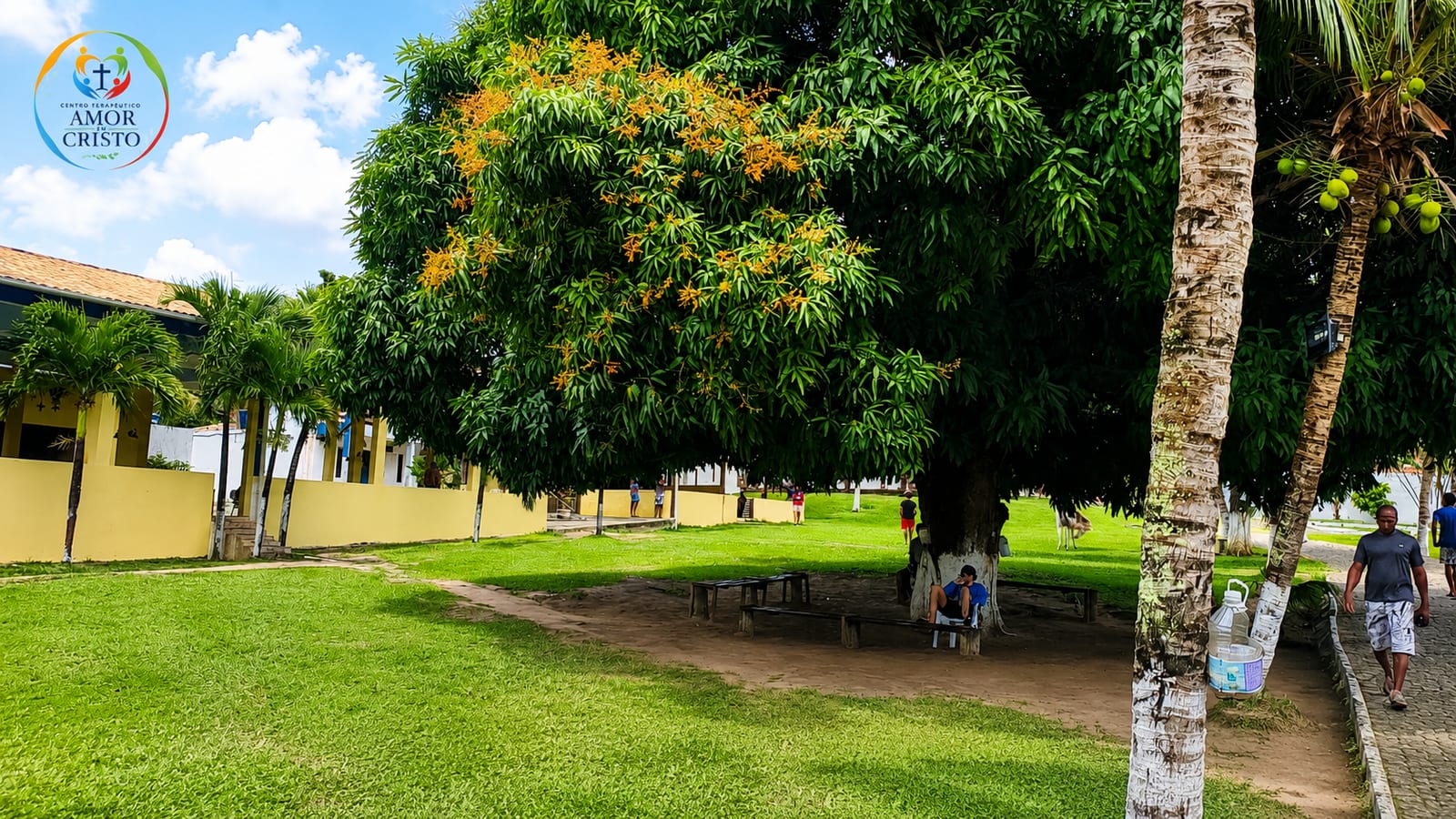 Jardins e árvores frutíferas